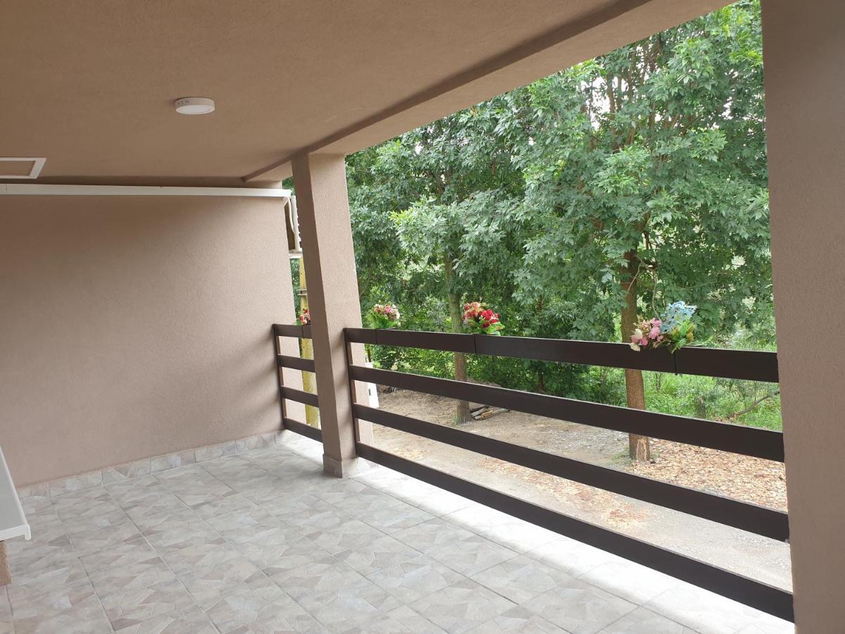 Vikendica Apartments Dunav Ms Celarevo 外观 照片