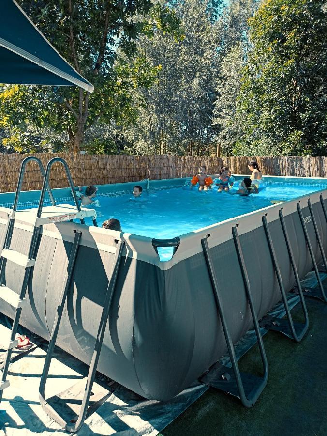 Vikendica Apartments Dunav Ms Celarevo 外观 照片