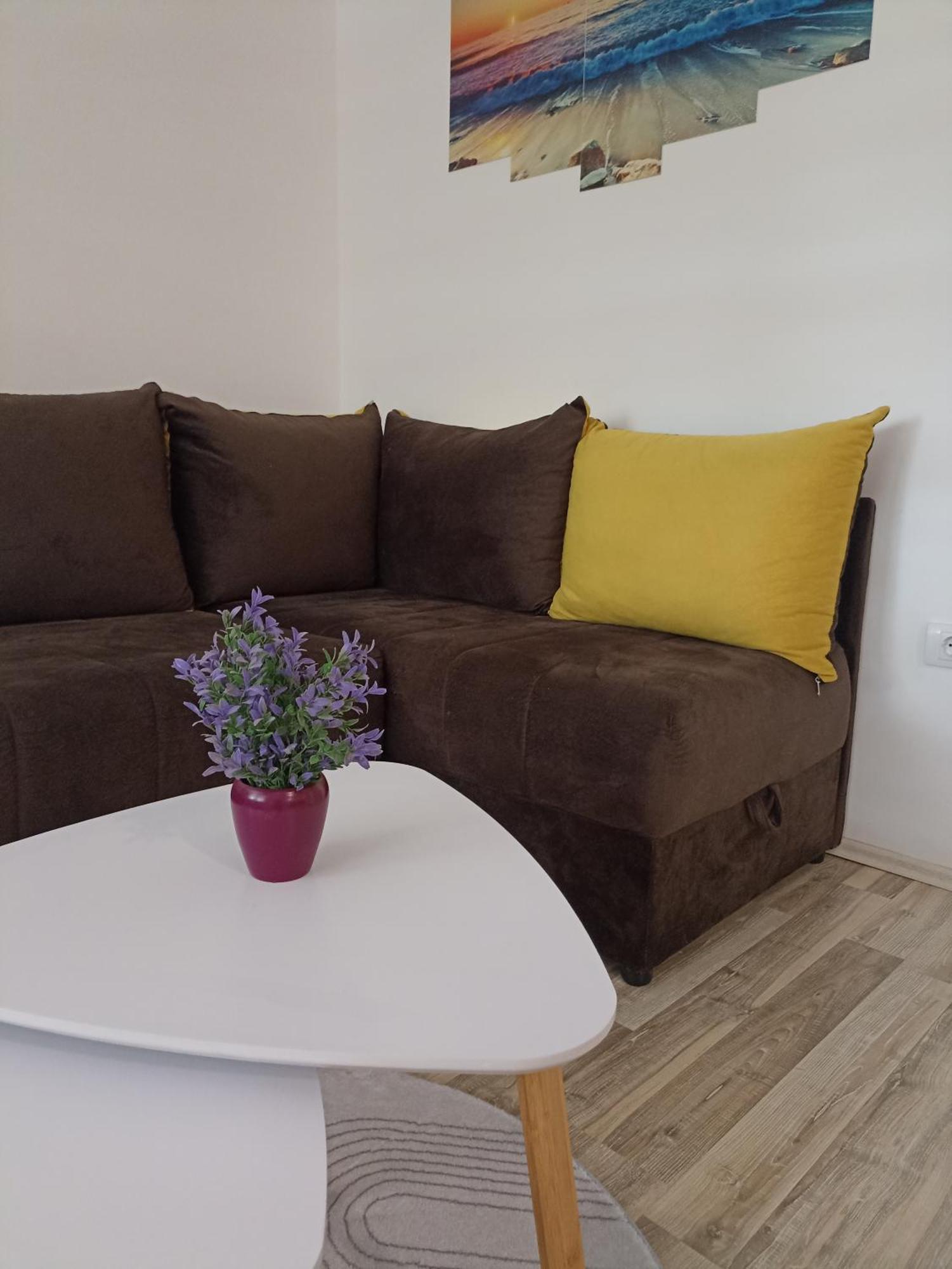 Vikendica Apartments Dunav Ms Celarevo 外观 照片